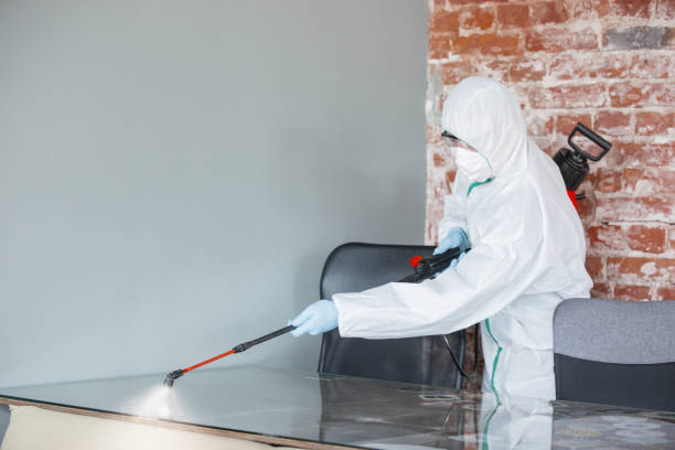 Mold Odor Removal Services in Obion, TN